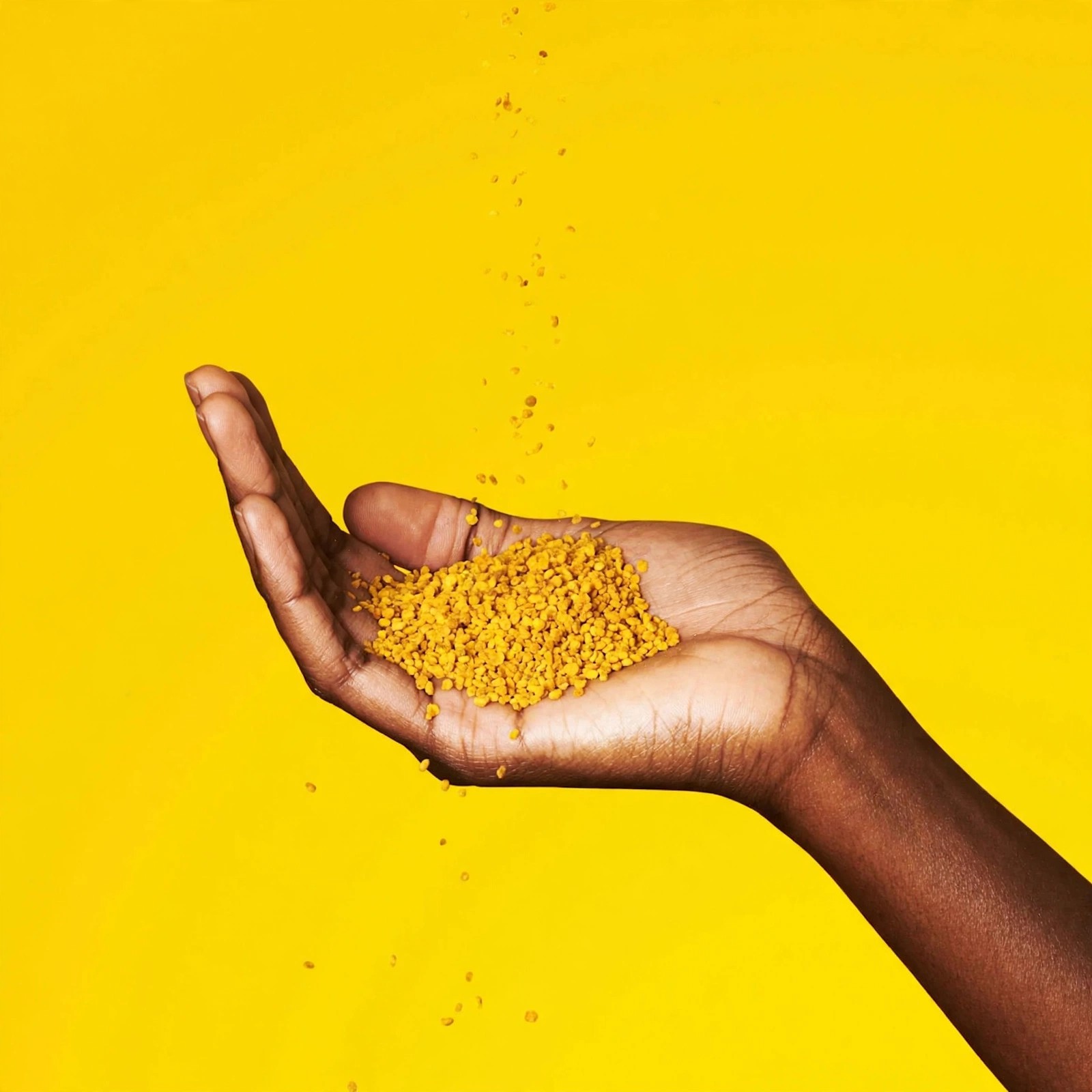 Hand holding bee pollen granules against bright yellow background.