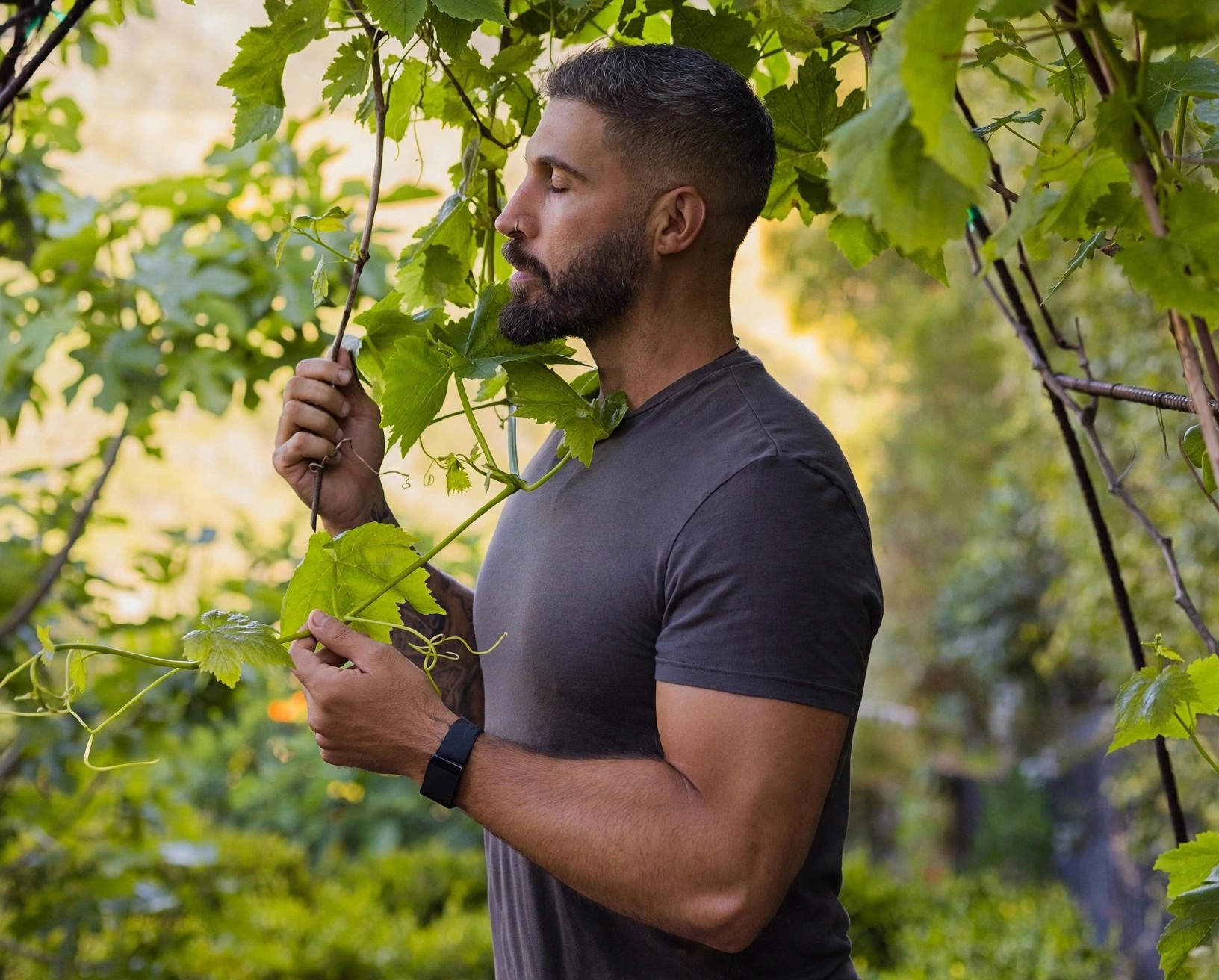 Chervin Jafarieh on sourcing with intention to absorption